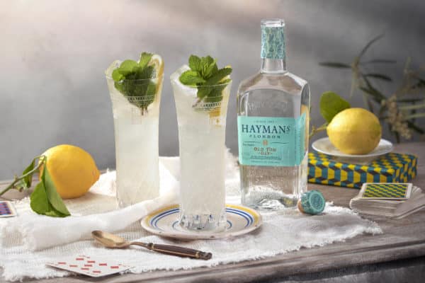 Hayman's Old Tom and Lemon Tonic