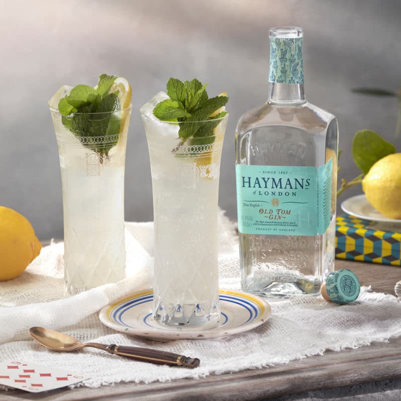 Hayman's Old Tom and Lemon Tonic