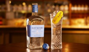 Hayman's Gin and Tonic in Hayman's Glass