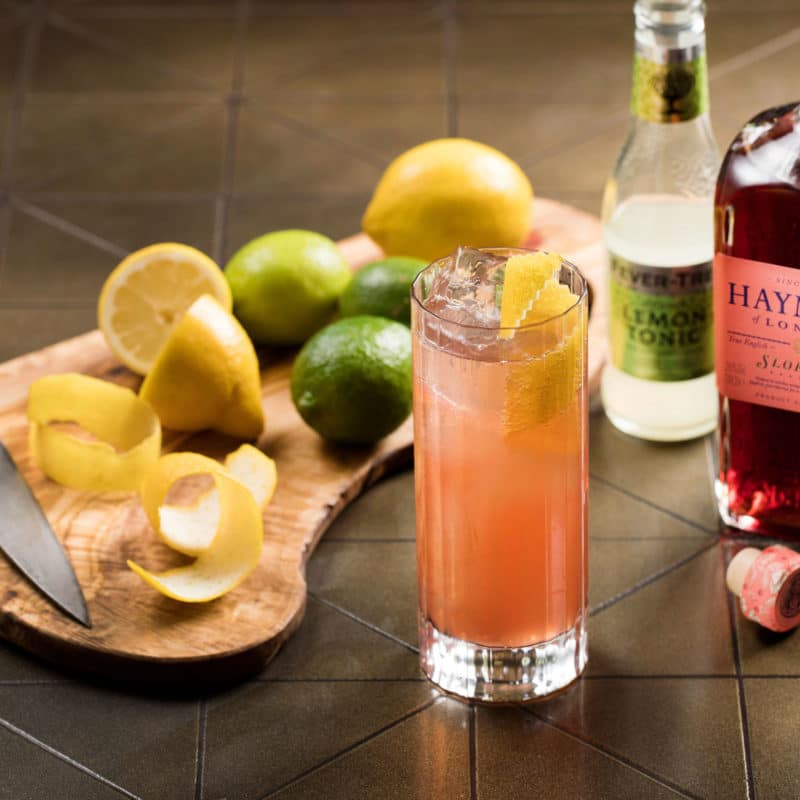 Hayman's Sloe Gin with Sloe Gin cooler