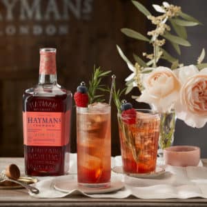 Hayman's Sloe and Elderflower tonic -001