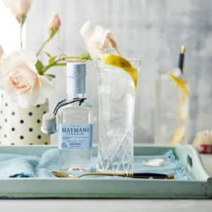 Hayman's Small-G+T