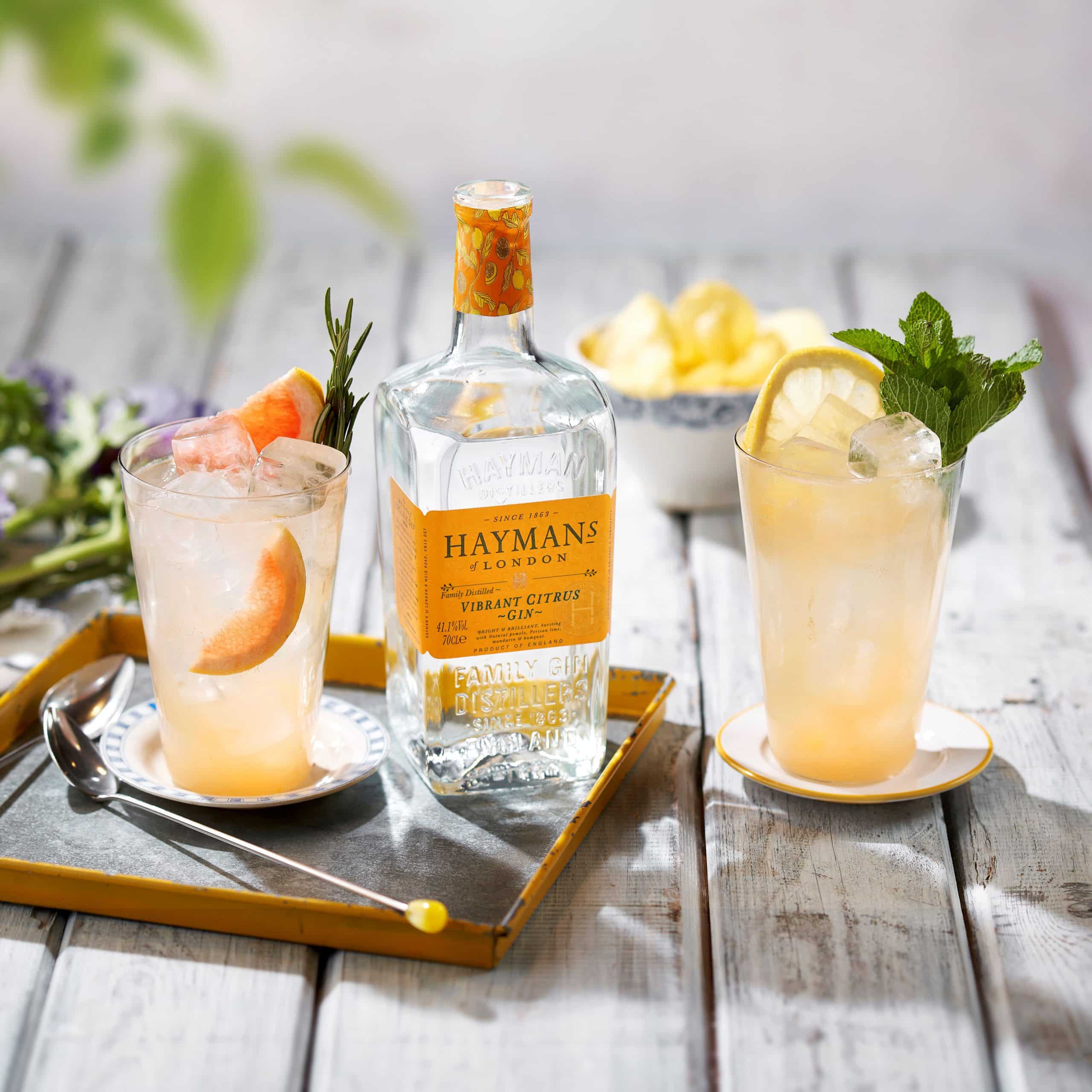 Vibrant Citrus Cooler - Hayman's Gin