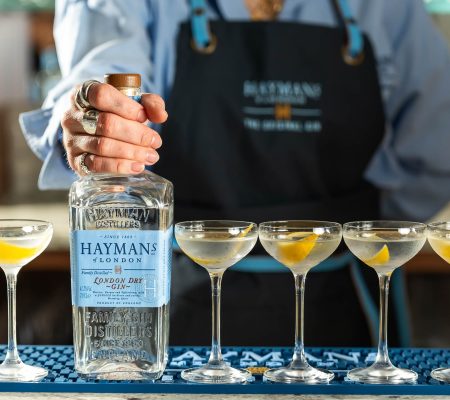 Hayman's London Dry gin with martinis