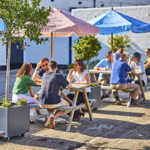 Hayman's summer sessions