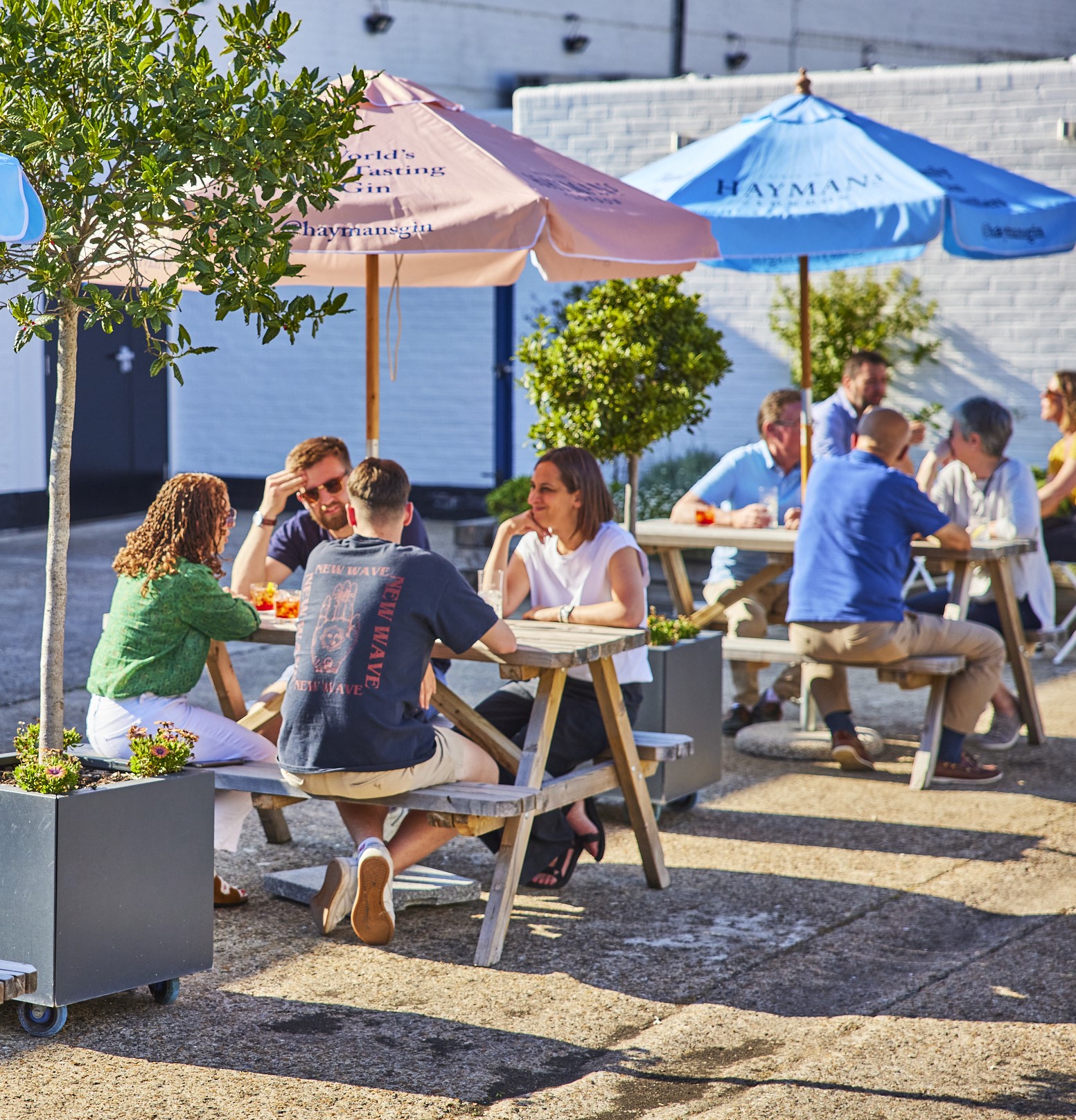 Hayman's summer sessions