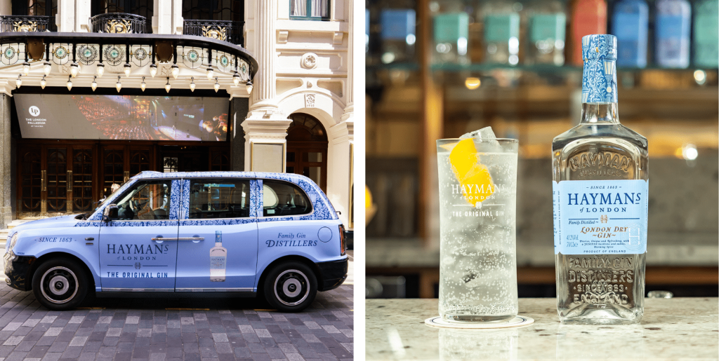 Haymans London Dry Gin, a Gin and Tonic